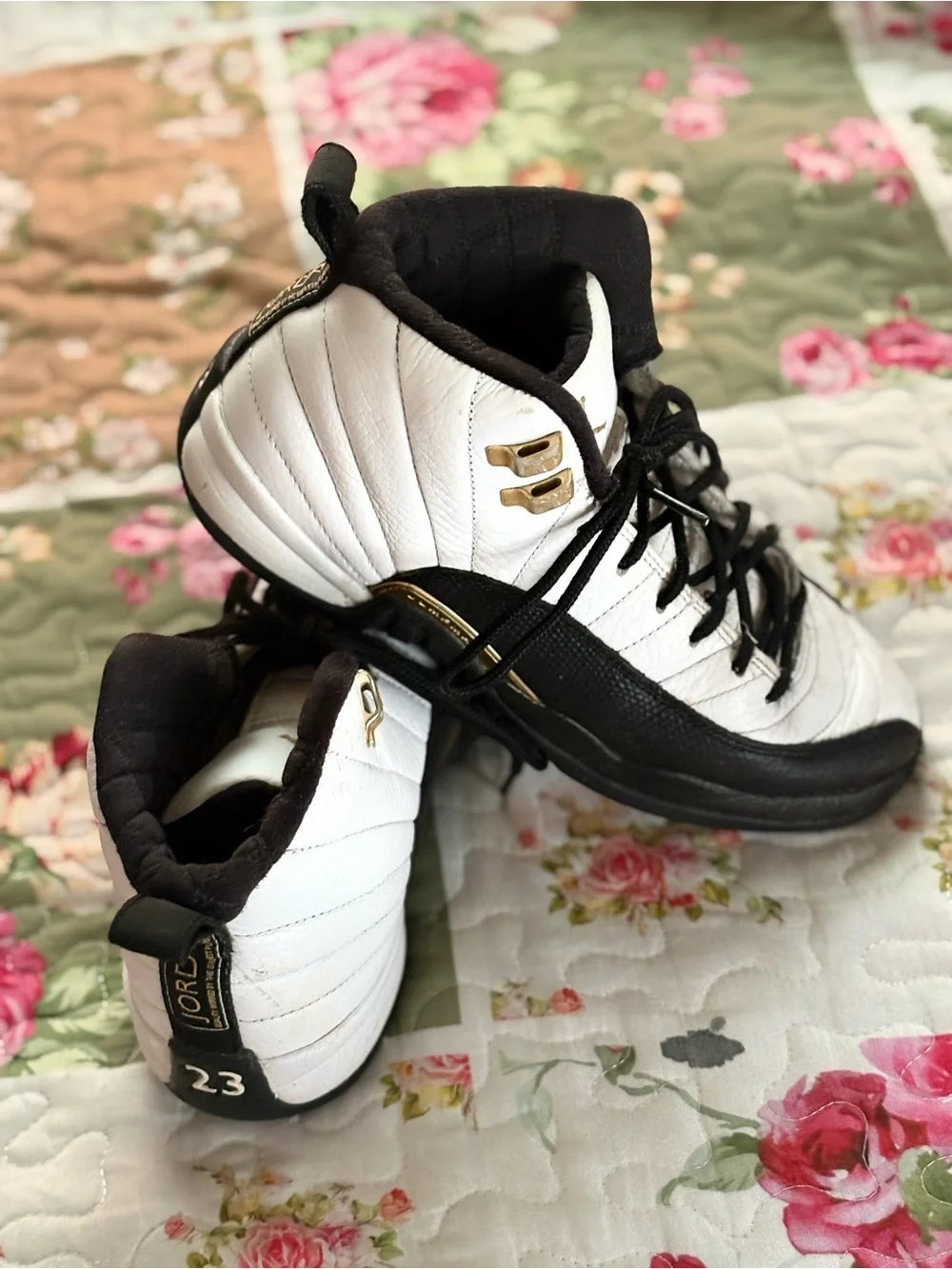 Air Jordan 12 Retro 
